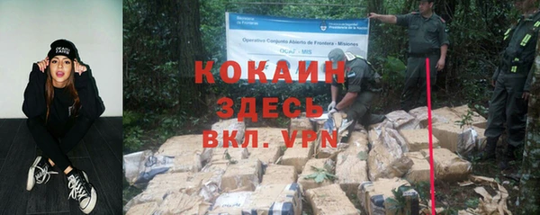 прущие грибы Алексеевка