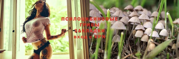прущие грибы Алексеевка