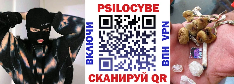 Псилоцибиновые грибы Cubensis  Мытищи 